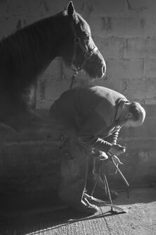 Master Farrier (2nd round Taylor Wessing Photographic Portrait Prize)