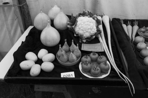 Winner, Tray of vegetables, Farndale Show, August 2016