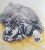 Watercolours and mixed media 