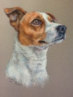 Dog Pastel Portraits