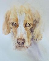 It must be dinner time now, surely?