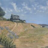 Agapanthus in bloom, St Mawes Castle