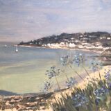 St Mawes agapanthus
