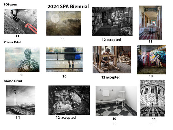 SPA Biennial 20226 Images entered and accepted