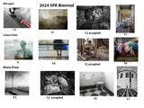 SPA Biennial 20226 Images entered and accepted