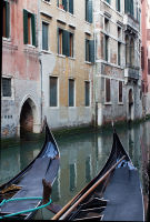 Venice gondolas