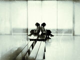 Seenng Double