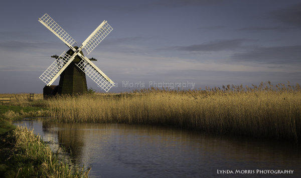 Herring Fleet Mill