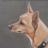 "Bella" 8 x 8 in