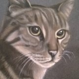 "Dilys" 9 x 7 in