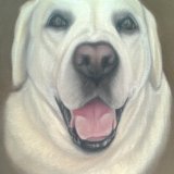 "Marley" 12 x 10 in
