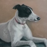 "Jess" 9 x 7 in