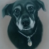 "Randall" 10 x8 in