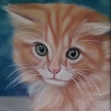 "Murdoch" 8 x 6 in