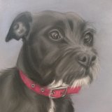 "Chewy" 10 x 8 in