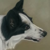 "Lacey" 9 x7 in