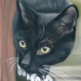 Black Cat 9 x 6 in