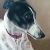 "Jess" 12 x 8 in unframed £70