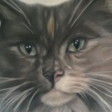"Callie" 8 x 8 in