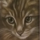 Tabby Kitten 8 x 6 in