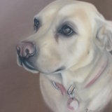"Treacle" 12 x 10 in