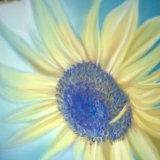 Sunflower II 8 x 8 in (in a 12 x 12 in brushed metal frame) £85