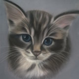 Kitten 9 x 7 in