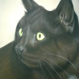 "Reggie" 9 x 7 in