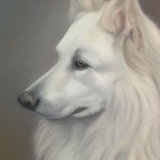 "Shadow" 12 x 8 in