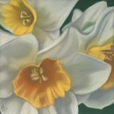 Daffodils 9 x 9 in (in a 12 x 12 in ornate gilt frame)