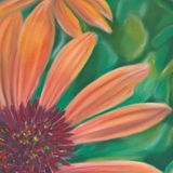Cone Flower 8 x 8 in (in a 12 x 12 in mount) £65