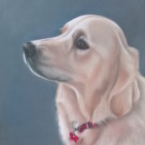"Amber" 16 x 12 in