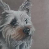 "Georgie" 8 x 6 in