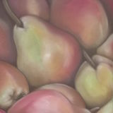 Pears 8 x 8 (in 12 x 12 in mount) £65
