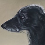 "Bruce" 11 x 8 in