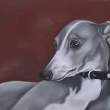 "Belle" 11.5 x 8 in