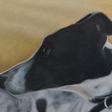 "Just Looking" 11.5 x 8 in (unframed) £75