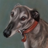 "Seb" 8 x 8 in