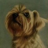 "Willow" 8 x 6 in