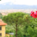 Typical Italian scene