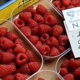 Raspberries