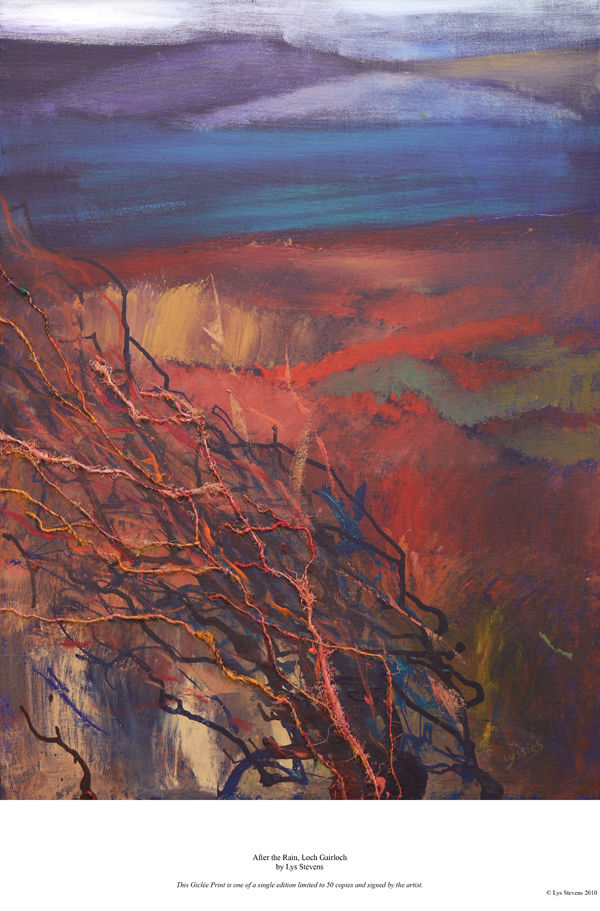 after the rain, Loch Gairloch