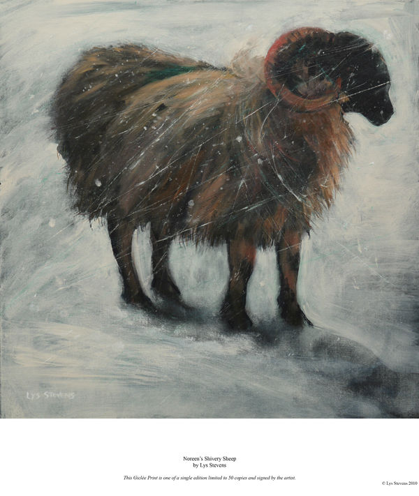 noreen's shivery sheep