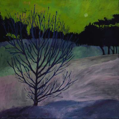 the yellow moon woke the tree