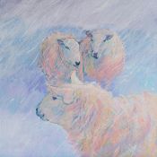 backs to the snow, Gairloch