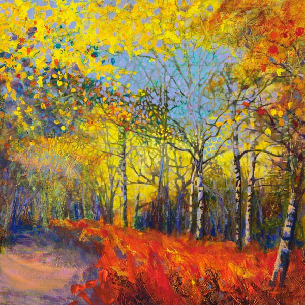 birch and bracken in autumn, Wester Ross SOLD