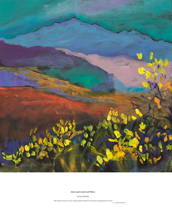 cheery-gorse-near-Loch-Maree-print