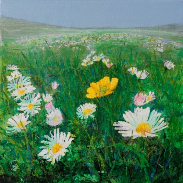 gold in among the daisies, Gairloch