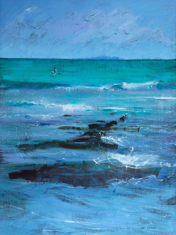 gulls fly while waves dance, Fife