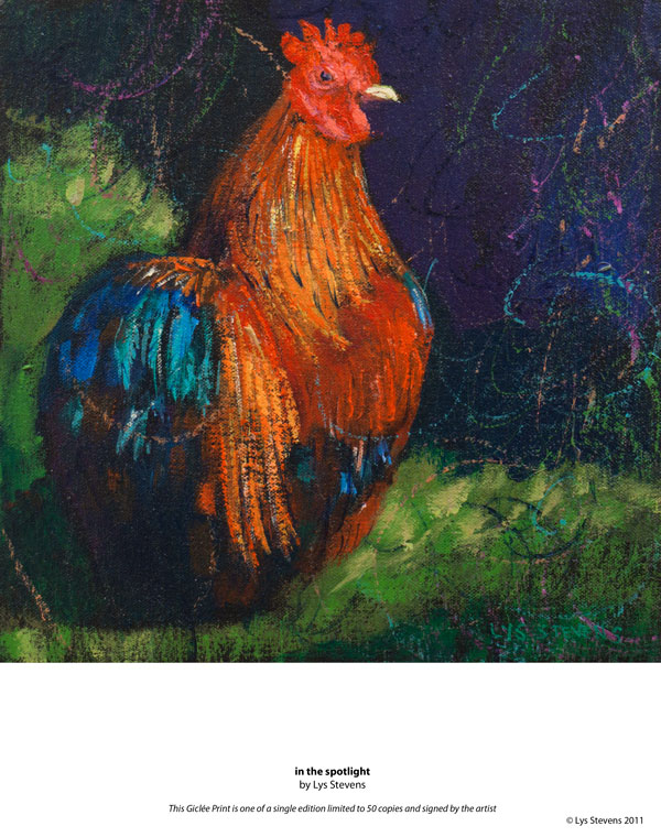 in the the spotlight